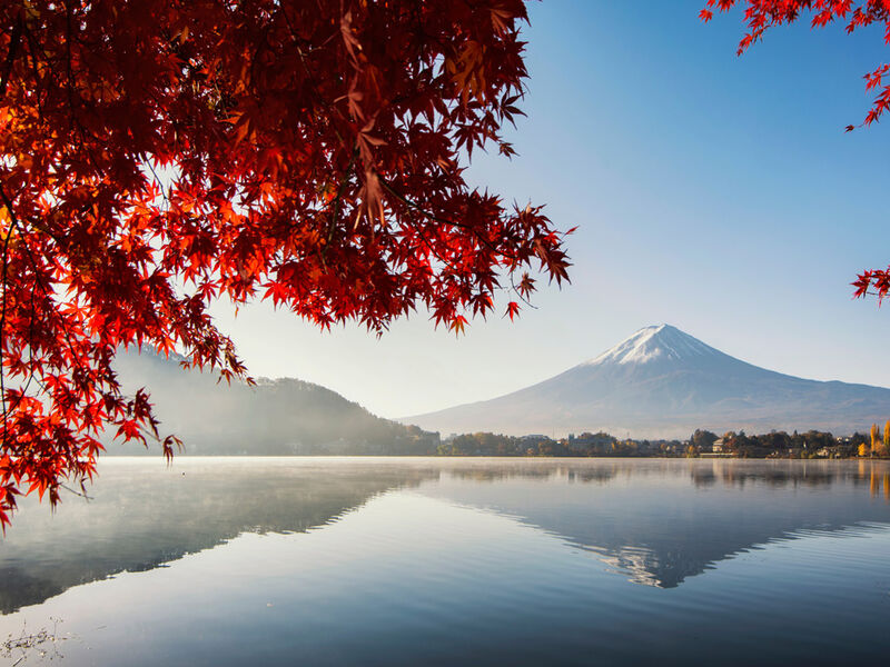 Görkemli Uzaklar: Japonya & Hong Kong 17 Ocak Hareket Türk Hava Yolları ile