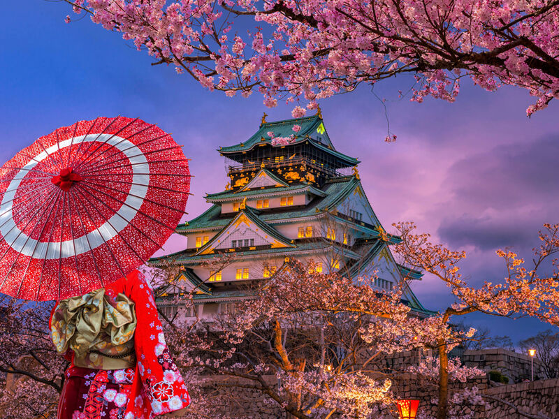 Comfort Japonya Turu Türk Hava Yolları ile 6 gece Ekstra Turlar Dahil ve Çay Seremonisi Dahil NRT-KIX 2026